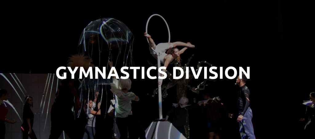 gymnastics-division